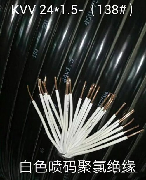 广州番禺电缆集团有限公司