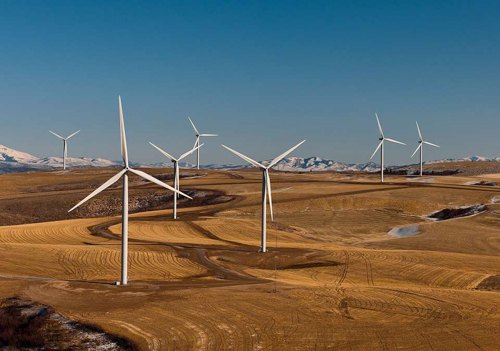 四家世界企业竞标沙特首个公用事业规划风电场