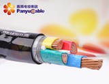 铠装聚氯乙烯护套电力电缆铜芯聚氯乙烯绝缘钢带